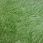 Овчина двухшкурная GREEN 02SS 4003